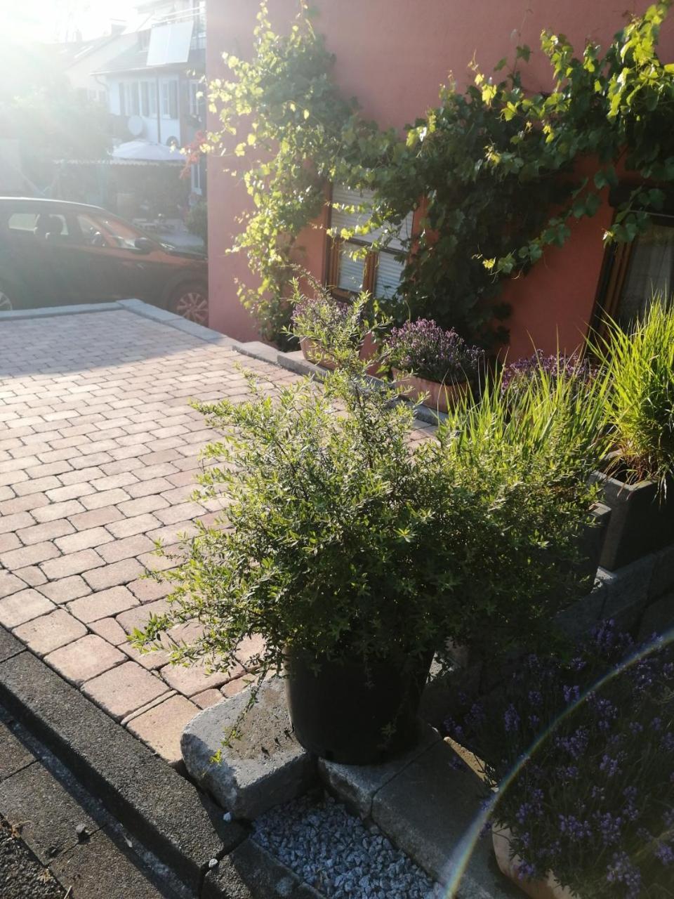 Haus Meersburg See 외부 사진