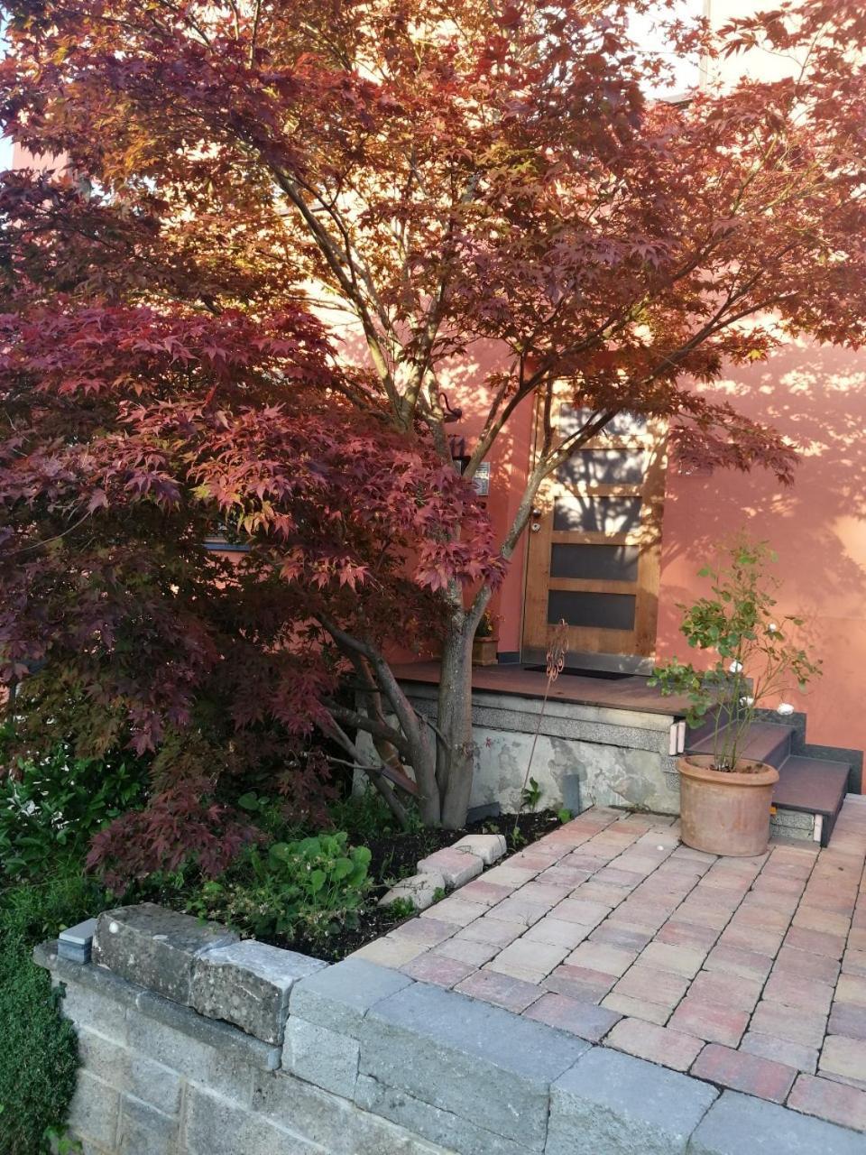 Haus Meersburg See 외부 사진